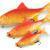 FOX Rage Ultra Realistic Replicant Golden Roach