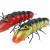 Microbait Leurre Durs River Crayfish