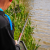 Preston Dura Carp 800 8m Pole