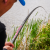 Preston Dura Carp 800 8m Pole