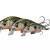 Savage Gear Leurres 3D Sticklebait Twitch