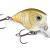 Rapala Leurre Crankbait BX Brat