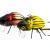 Microbait Leurres Colorado Beetle