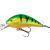 Mikado Fishunter Cavalier
