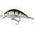 Mikado Fishunter Cavalier