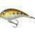 Mikado Fishunter Crazy Dots