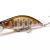 Megabass Great Hunting GH46 Humpback