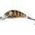 Salmo Hornet 2,5 cm