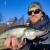 Megabass IXI Shad TX