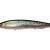 Megabass Kanata SW