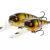 Westin MegaBite DR Crankbait