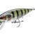 Prorex Minnow SR