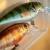 Salmo Rattlin’ Executor SDR