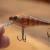 Salmo Rattlin’ Executor SDR