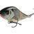Salmo Slider 10 cm