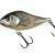 Salmo Slider 10 cm