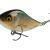 Salmo Slider 12 cm